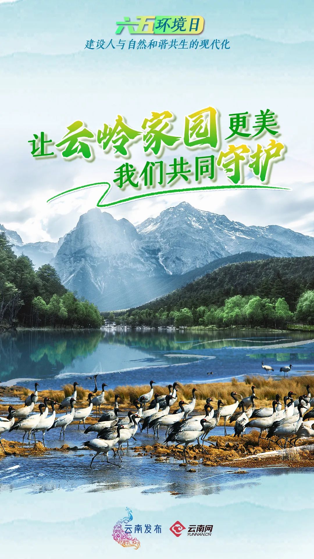 云南省文化和旅游厅