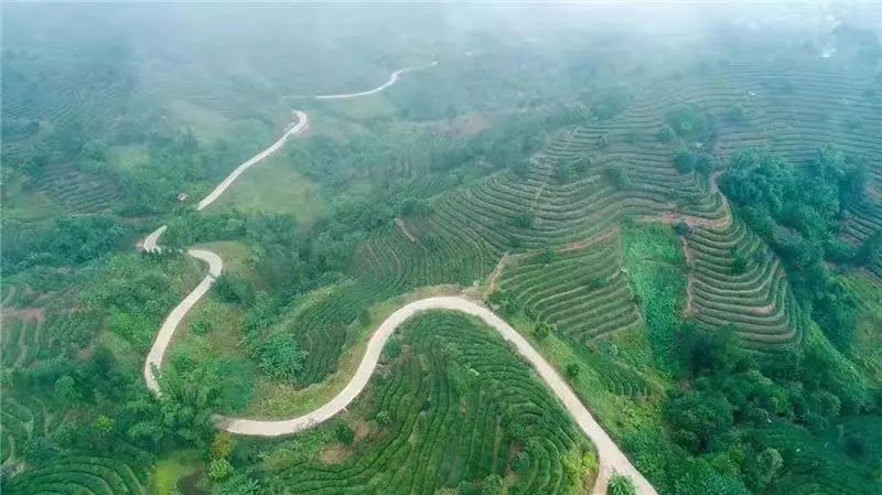 云南省文化和旅游厅