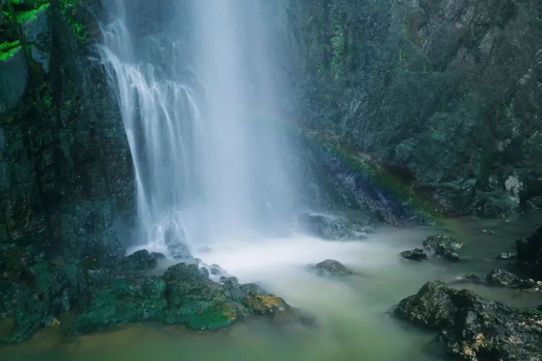 丽江日报