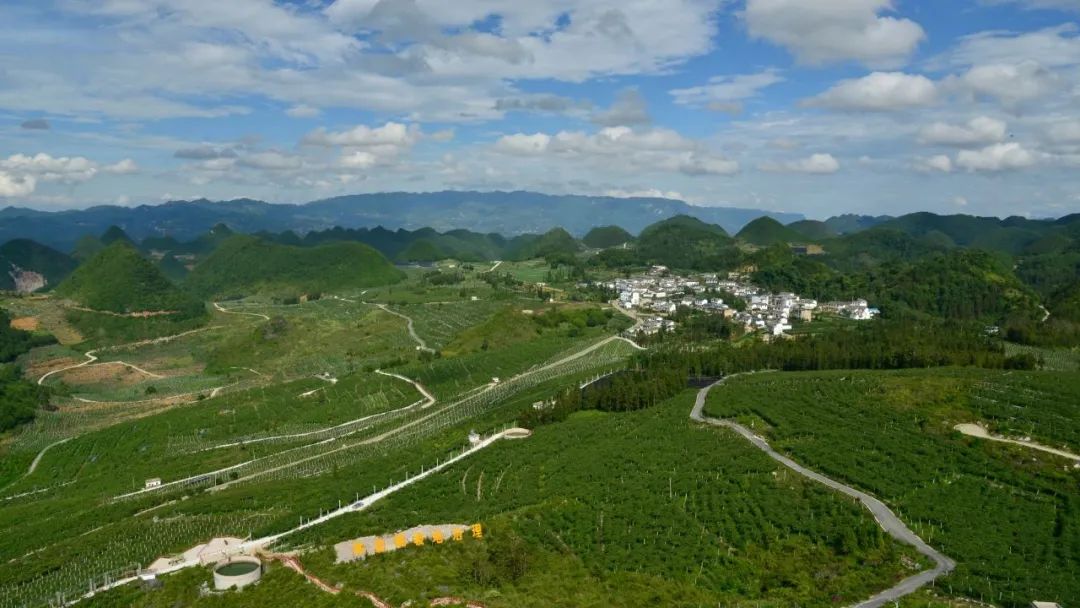 云南省文化和旅游厅