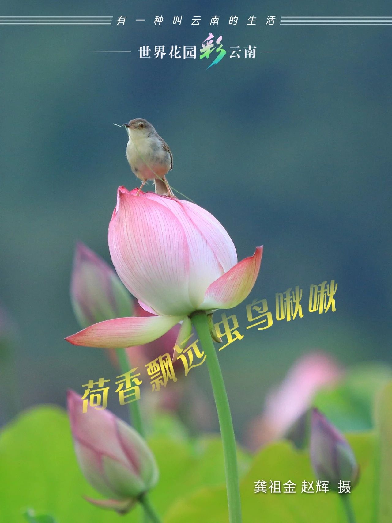 云南省文化和旅游厅
