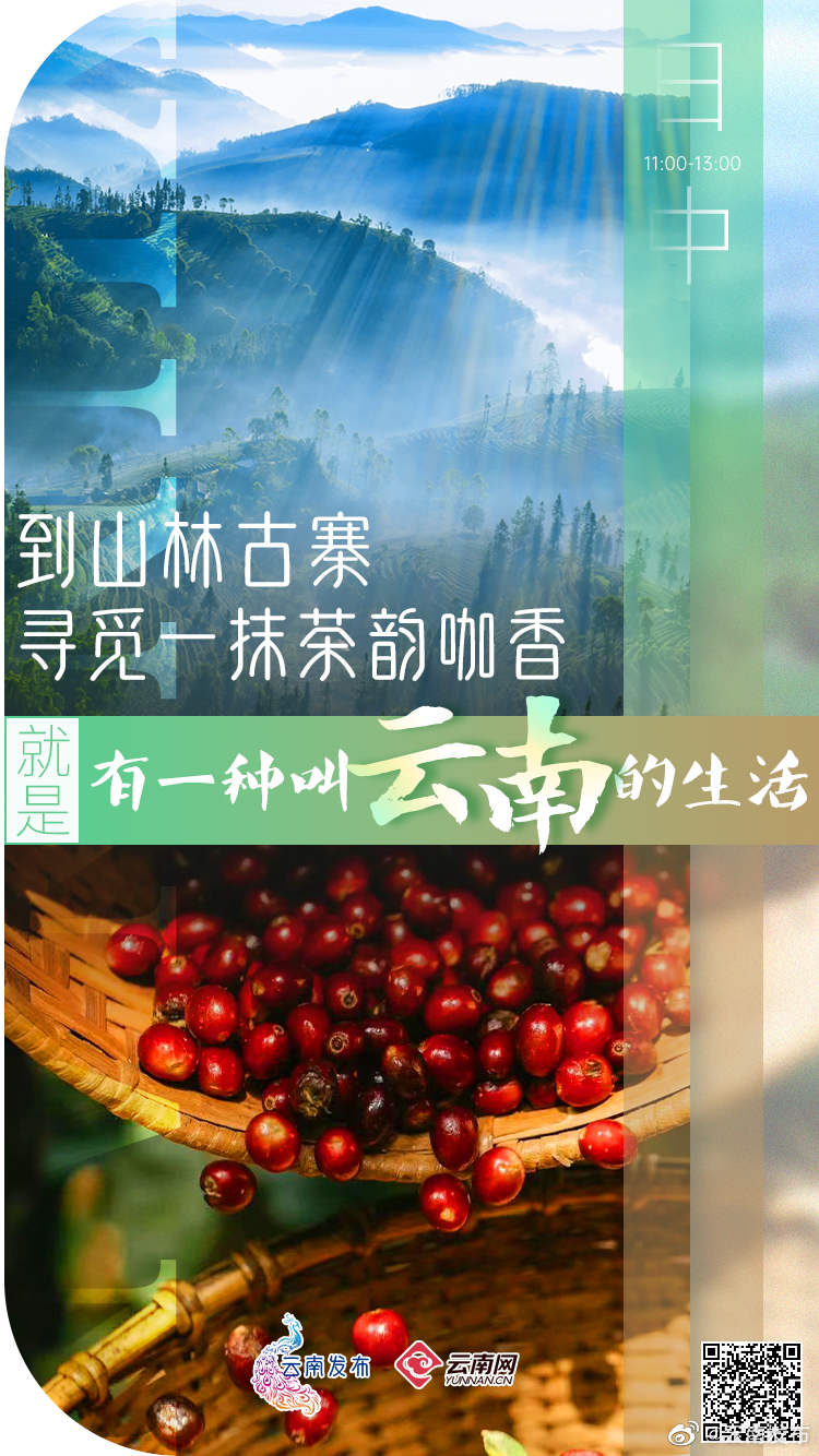 云南发布