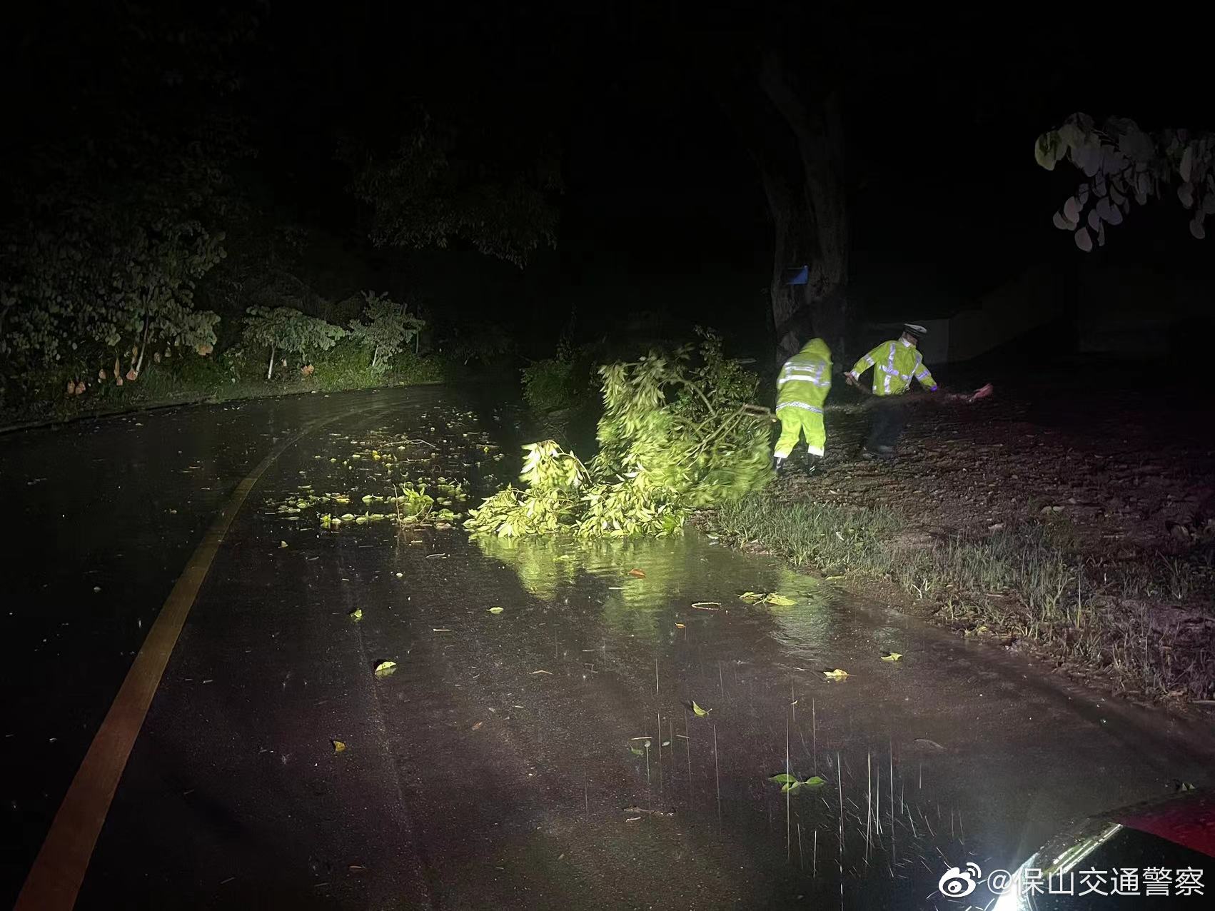 保山交通警察