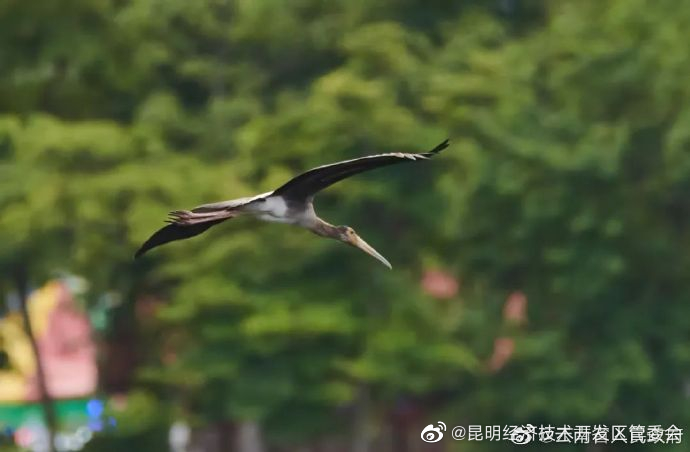 昆明经济技术开发区管委会