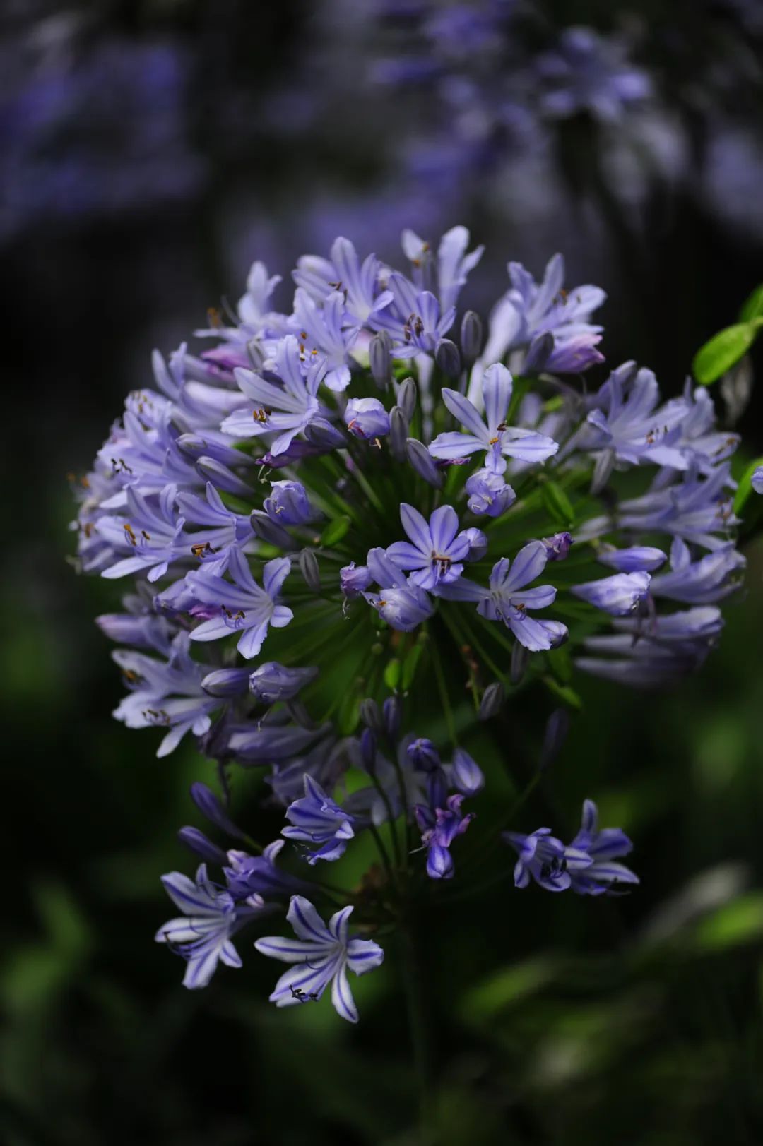 昆明市金殿名胜区