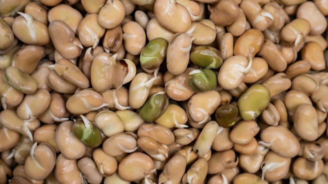 晋宁诗意的栖居地