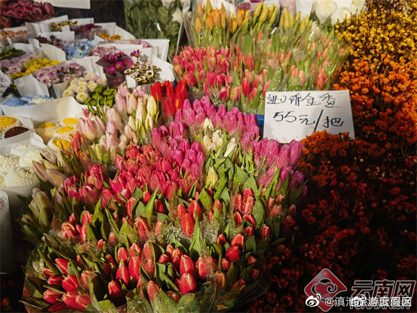 滇池旅游度假区