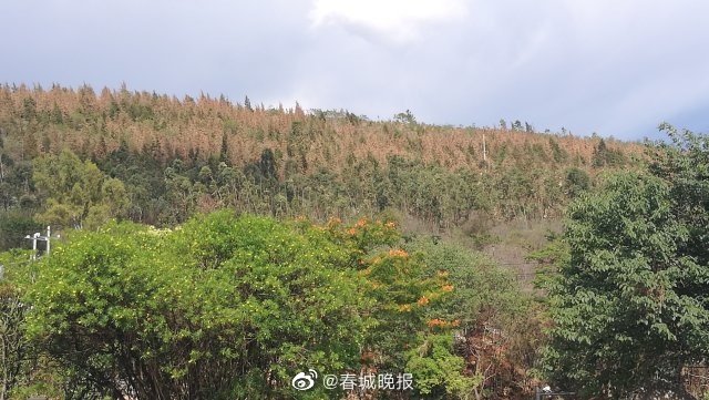 云南多地持续高温烧烤模式