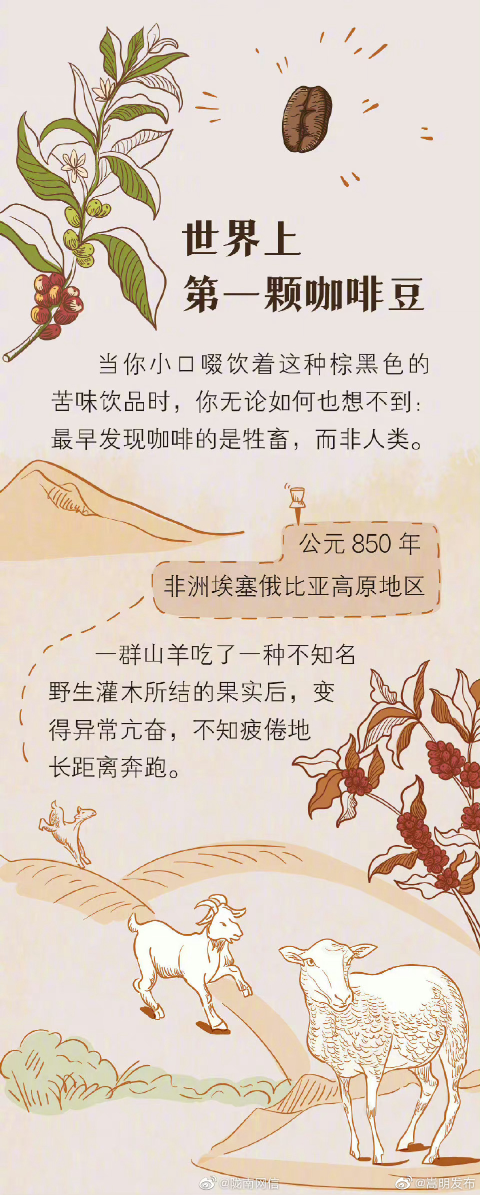 嵩明发布