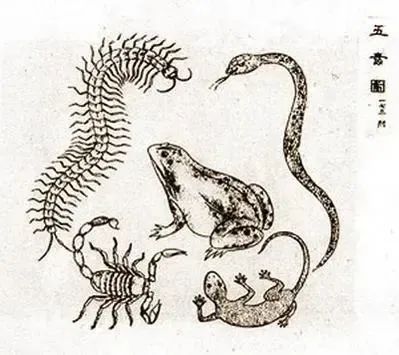 美丽云南微科普