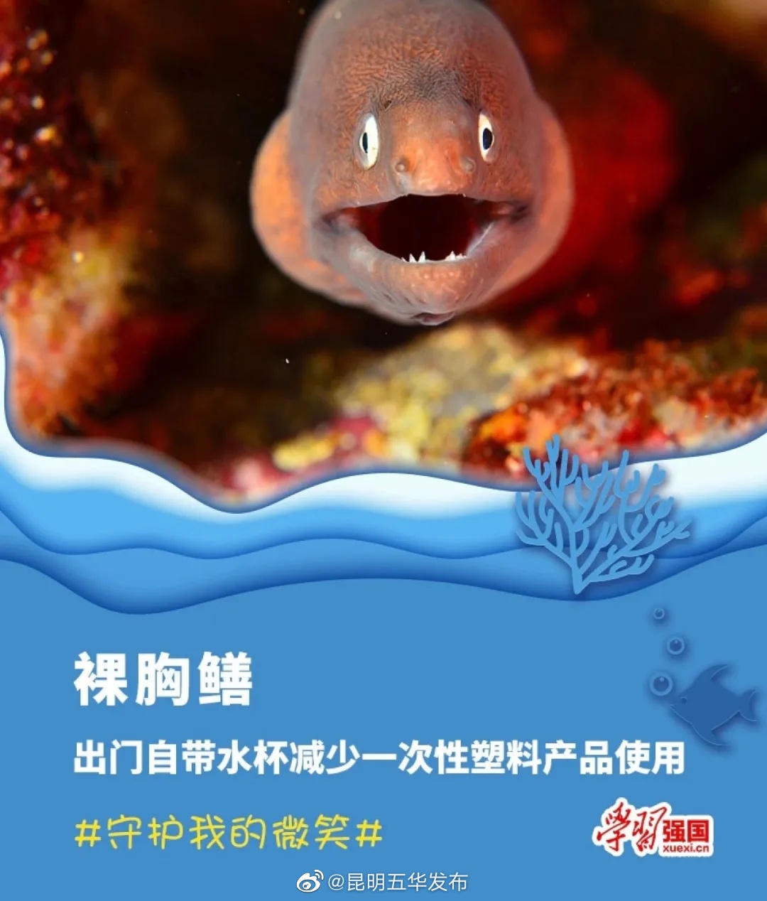 昆明五华发布