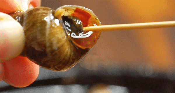 夏天吃螺煮熟煮透再吃