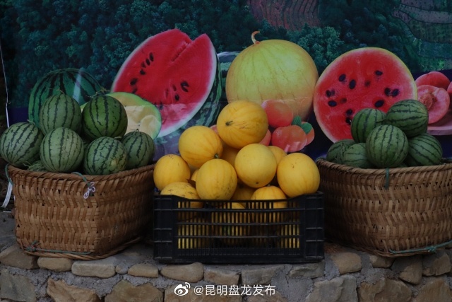 昆明盘龙发布
