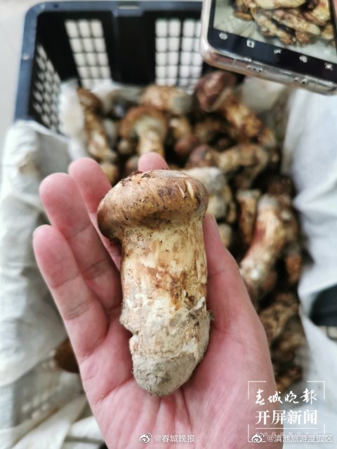 滇池旅游度假区