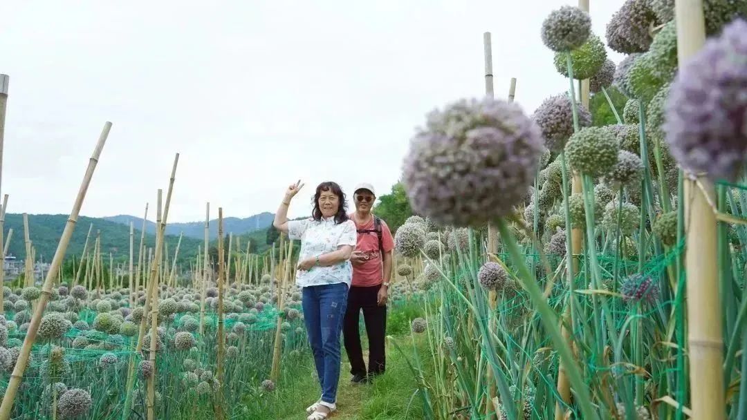 昆明文旅