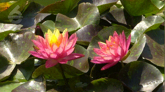 滇池旅游度假区