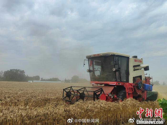 财政部下达2亿元支持河南抢收小麦