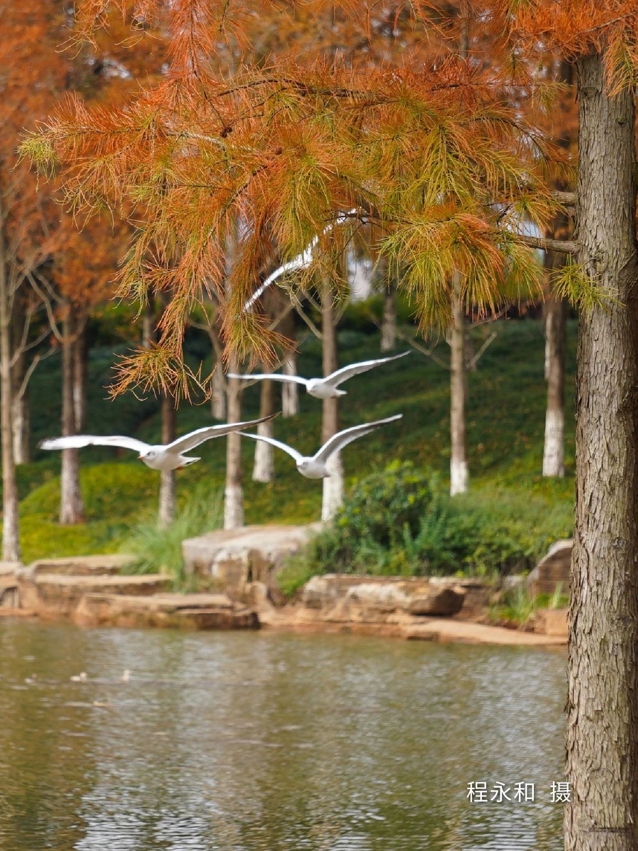 云南省文化和旅游厅