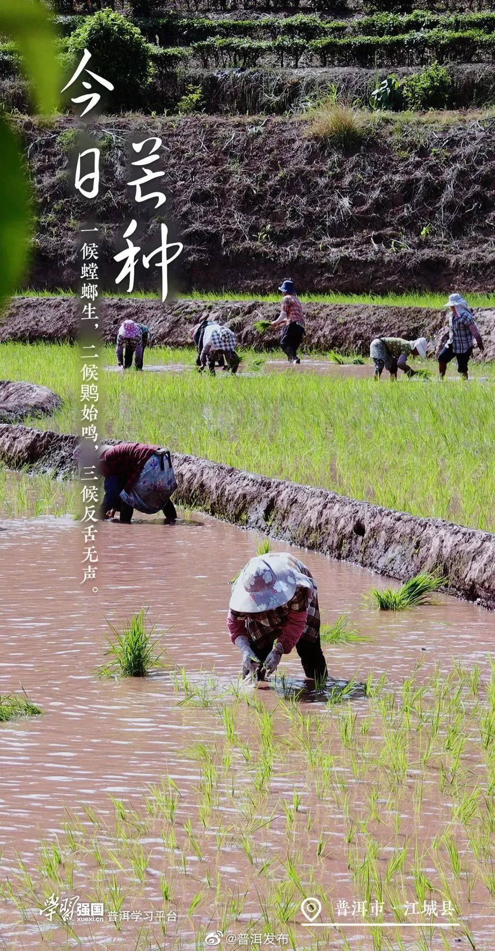 今日芒种丨“芒”有所获 “种”有所得