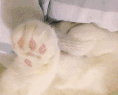 假期需要7种有效休息