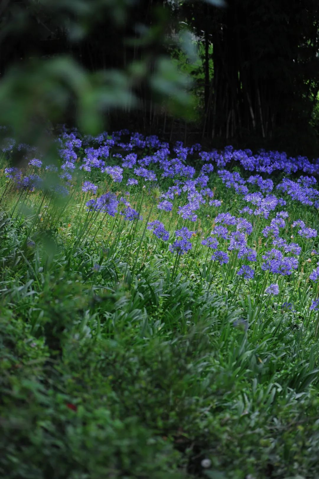 昆明市金殿名胜区
