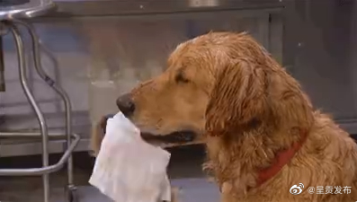 出汗时感到乏力说明过度了