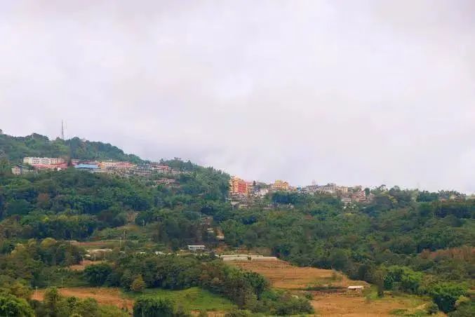云南省文化和旅游厅