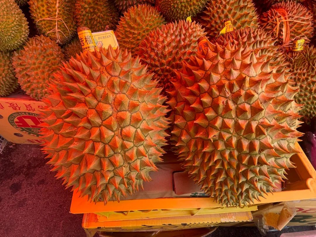 昆明信息港/cnkmxxg