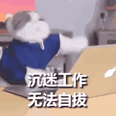 保山新闻网