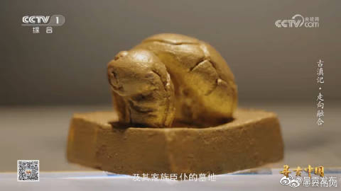 呈贡发布