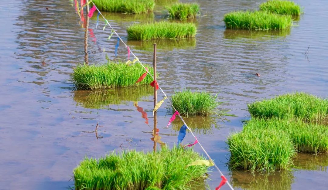 晋宁诗意的栖居地