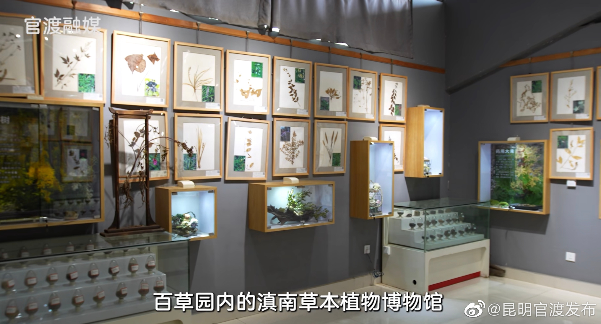 看见官渡：云南滇南草本植物博物馆
