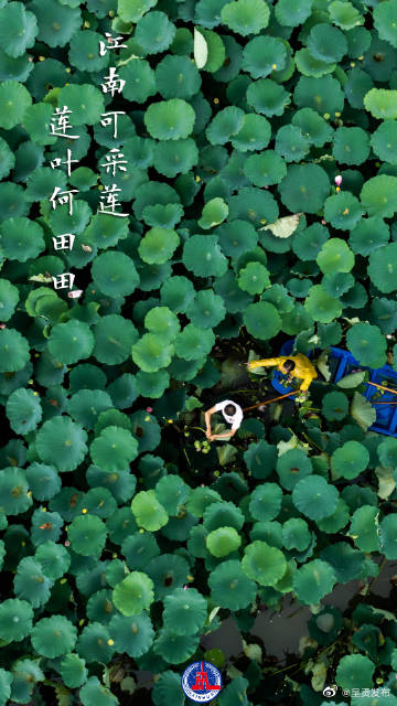 呈贡发布