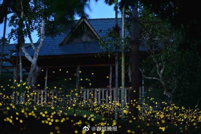 春城晚报
