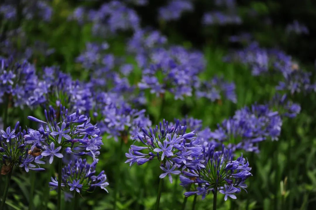 昆明市金殿名胜区