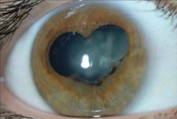 昆明信息港/cnkmxxg