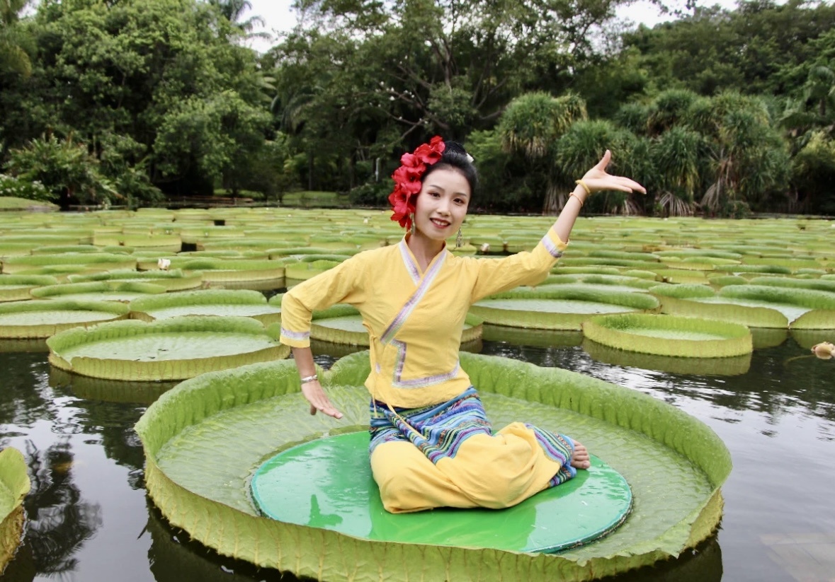 云南省文化和旅游厅
