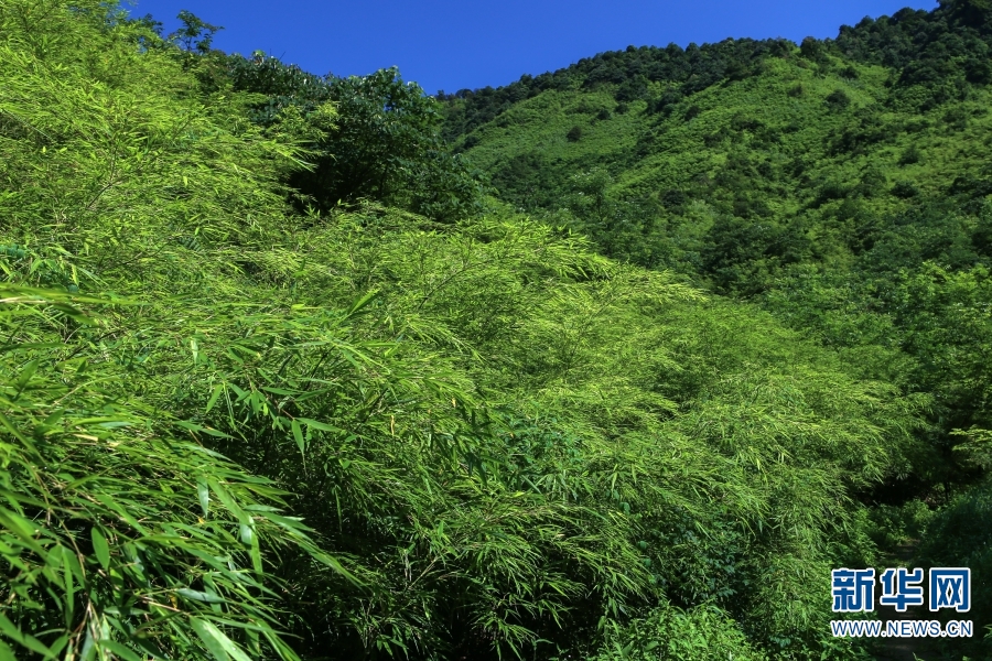 云南省文化和旅游厅