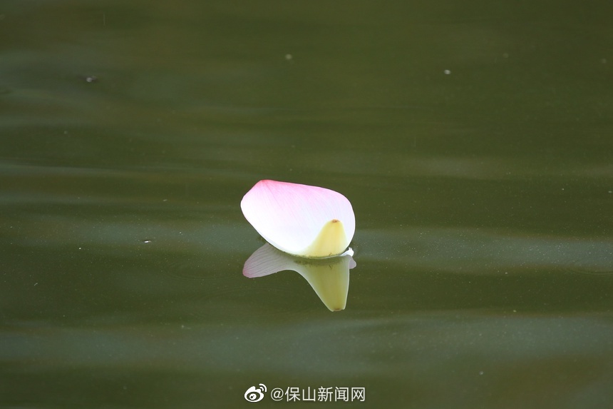 保山新闻网