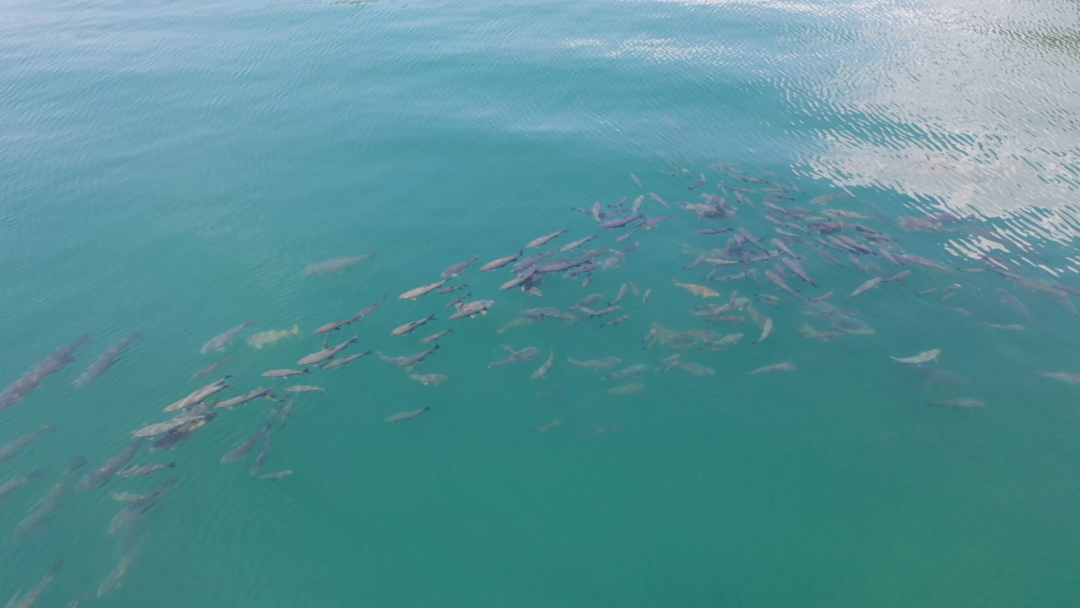 昆明信息港/cnkmxxg