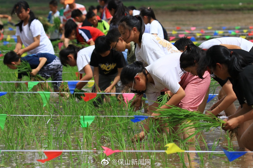 保山新闻网