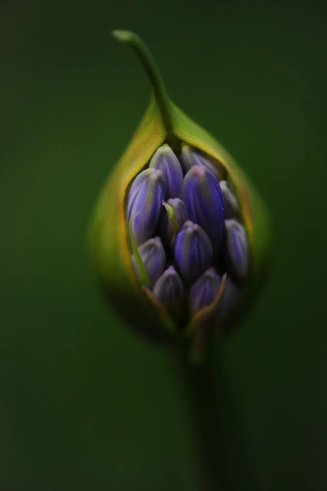 昆明市金殿名胜区