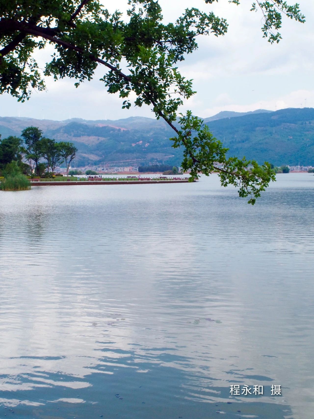 云南省文化和旅游厅