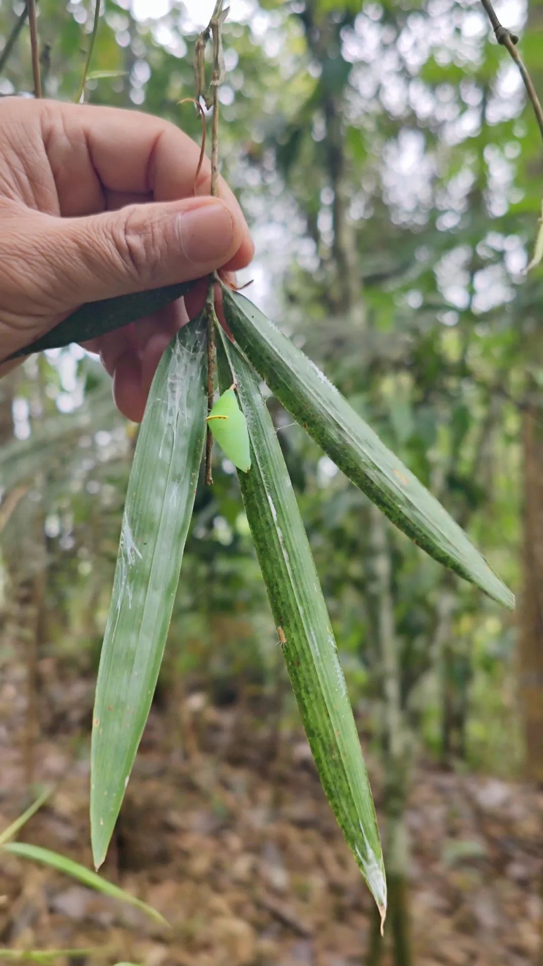 云南省文化和旅游厅