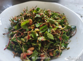 昆明盘龙发布