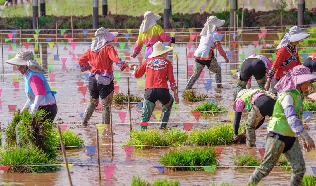晋宁诗意的栖居地