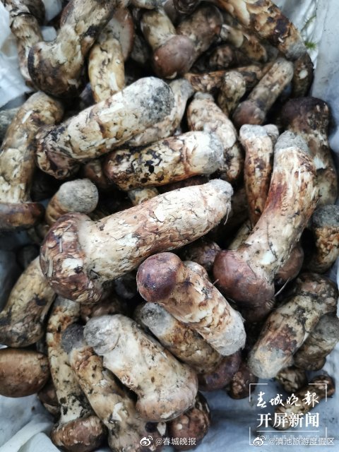 滇池旅游度假区