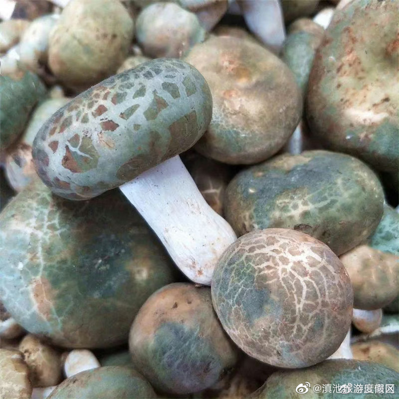 滇池旅游度假区