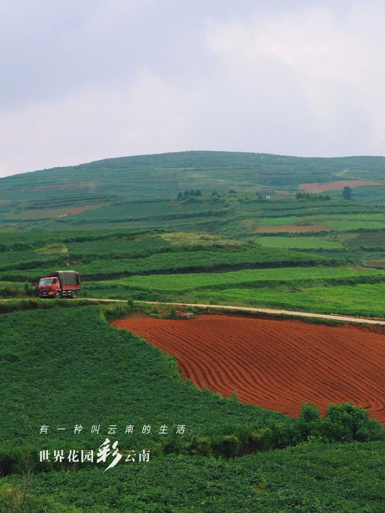 云南省文化和旅游厅