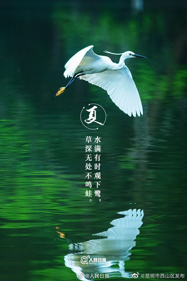 昆明市西山区发布